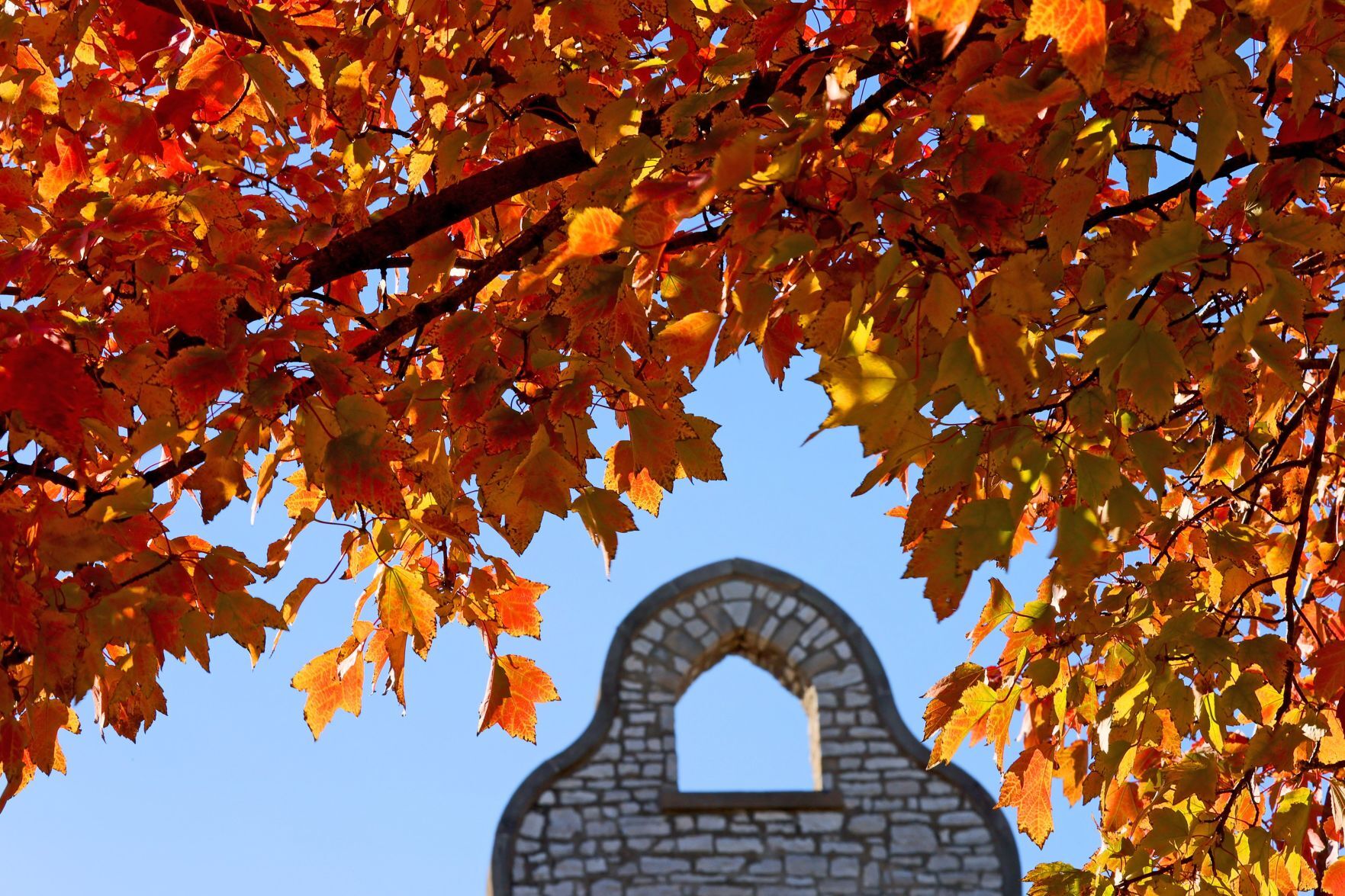 Autumn color falls on St. Louis area